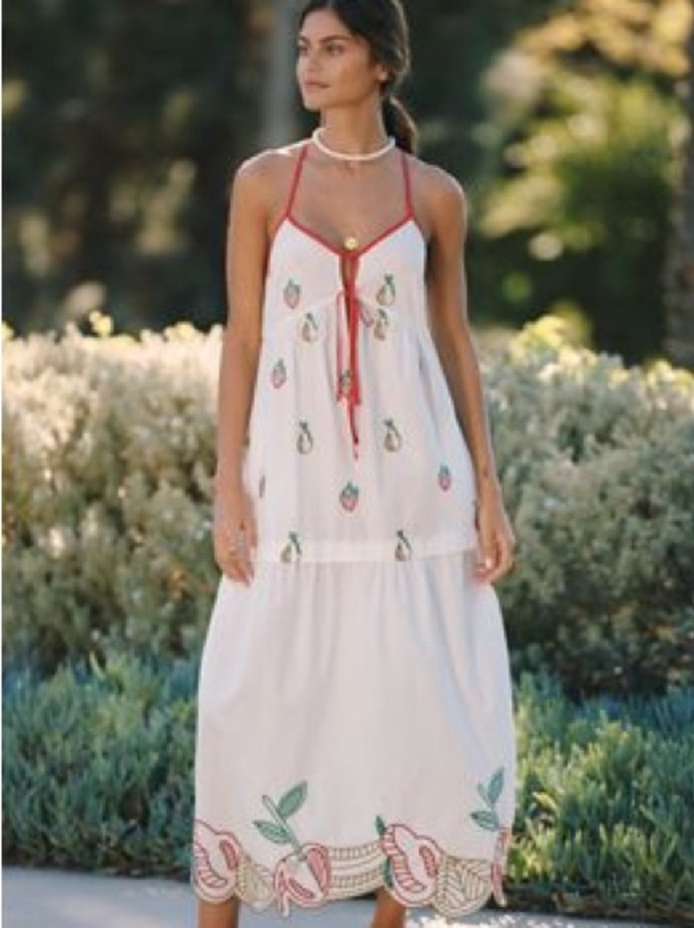 Celandine Eyelet Fruit
Embellished Dress